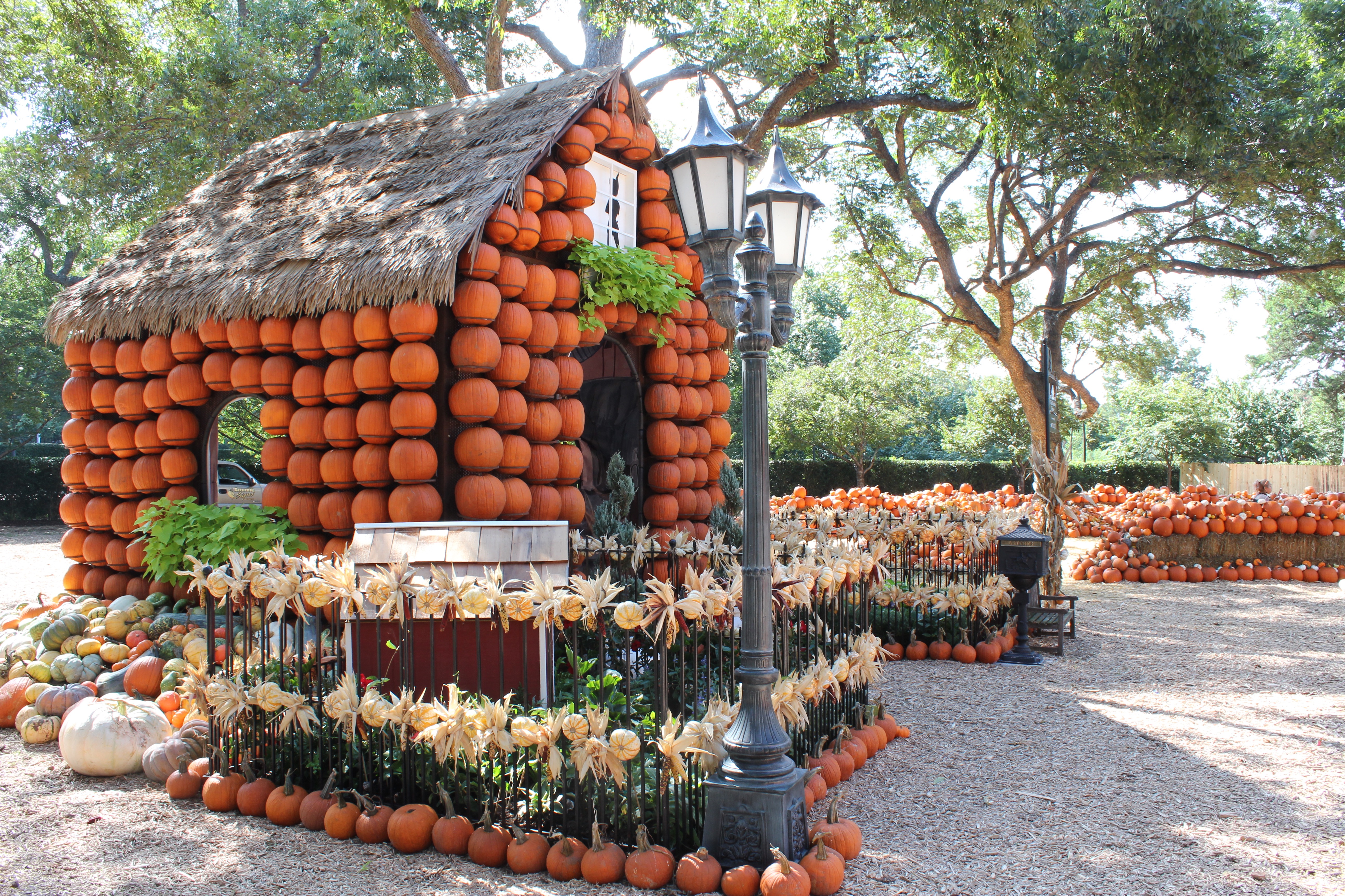 El Otoño en el Dallas Arboretum
