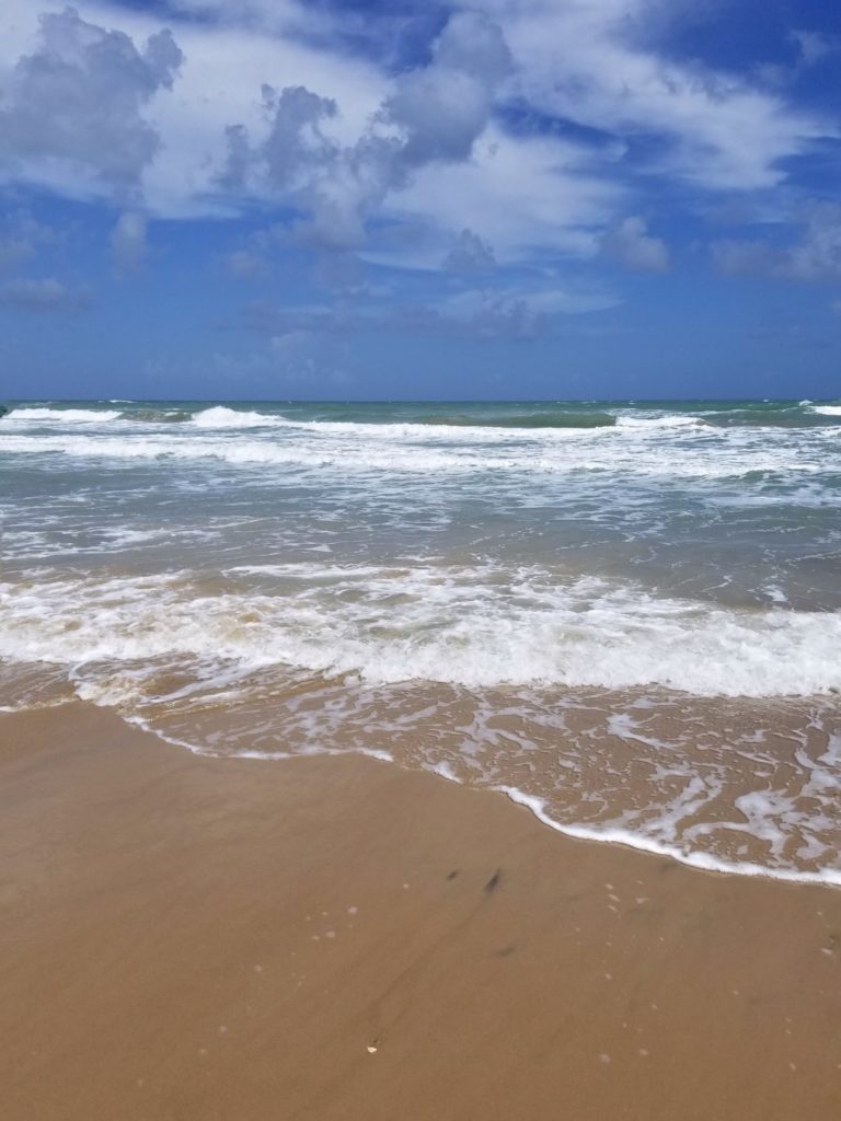 Las 12 Mejores Playas de Texas Las 12 Mejores Playas de Texas