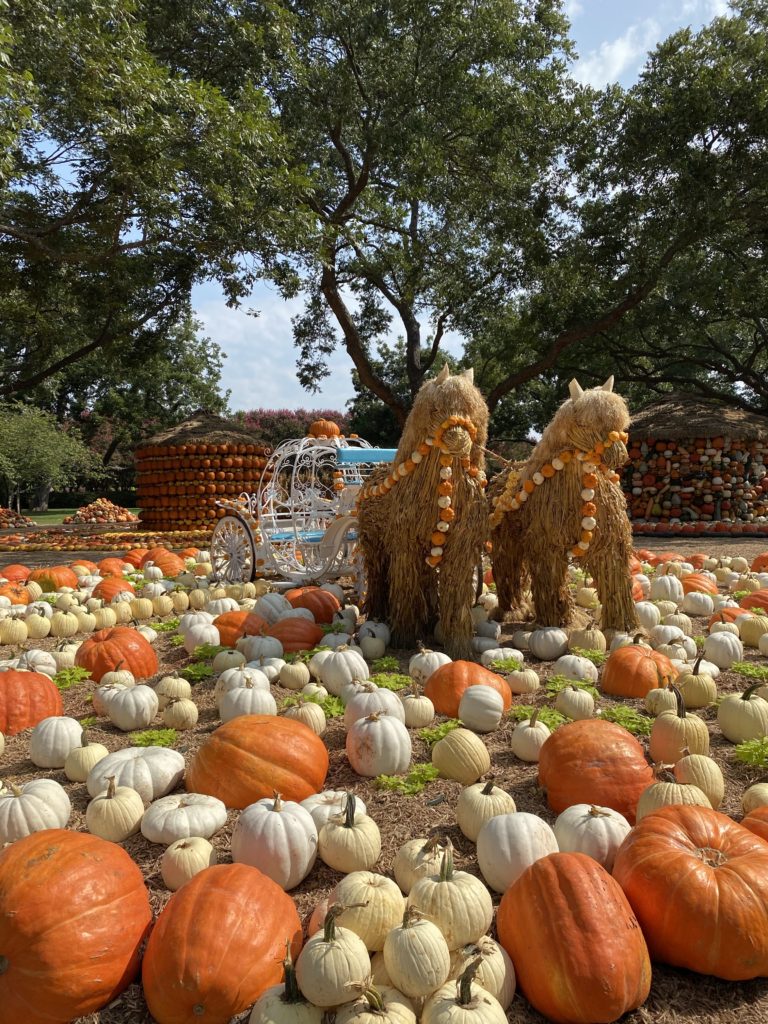 Dallas Arboretum