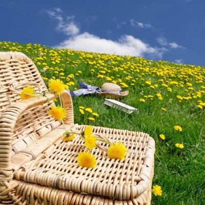 A Celebrar El Fin de Semana de Memorial Day