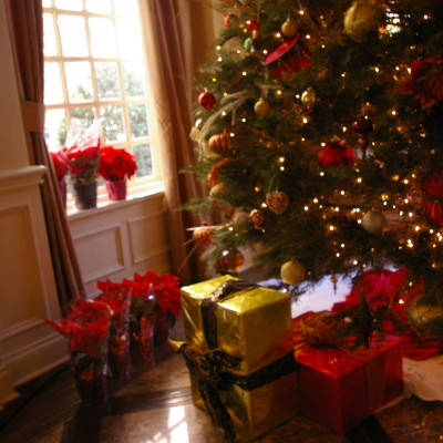 ¡La Guía de Regalos de Navidad 2011 ya Está Aquí!