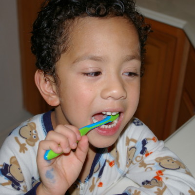 Los Hispanos en los Estados Unidos y la Salud Dental