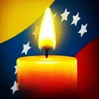 Manifestaciones Pacificas en el Mundo en Apoyo a Venezuela