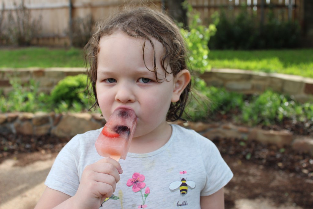 paletas de frutas
