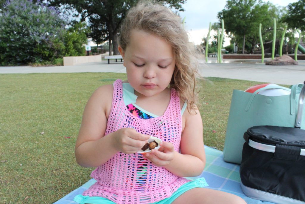 Ideas Fáciles Para un Picnic en el Parque con los Niños
