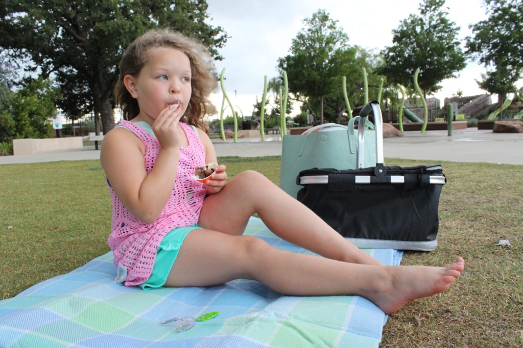 Ideas Fáciles Para un Picnic en el Parque con los Niños