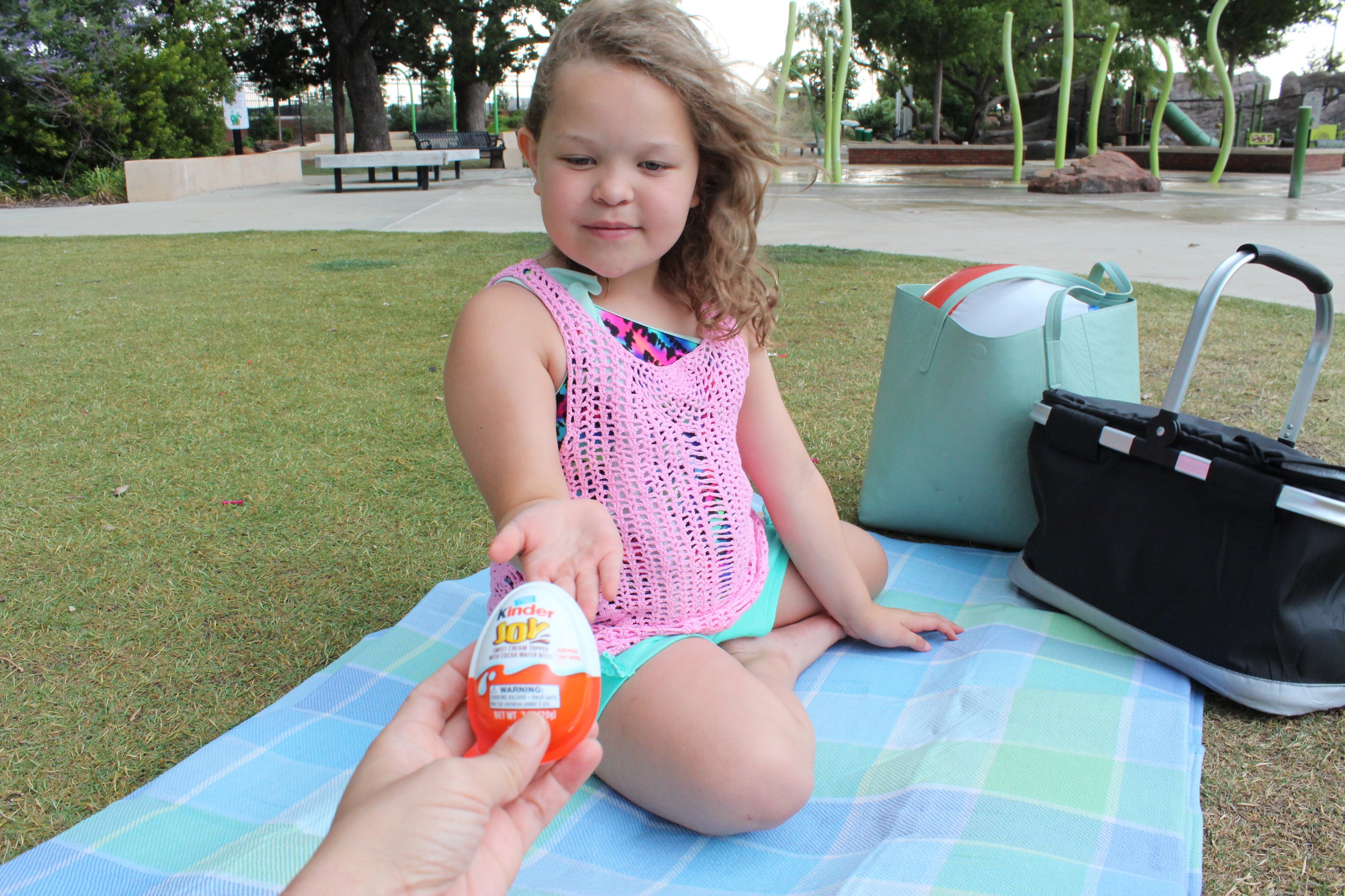 Ideas Fáciles Para un Picnic en el Parque con los Niños
