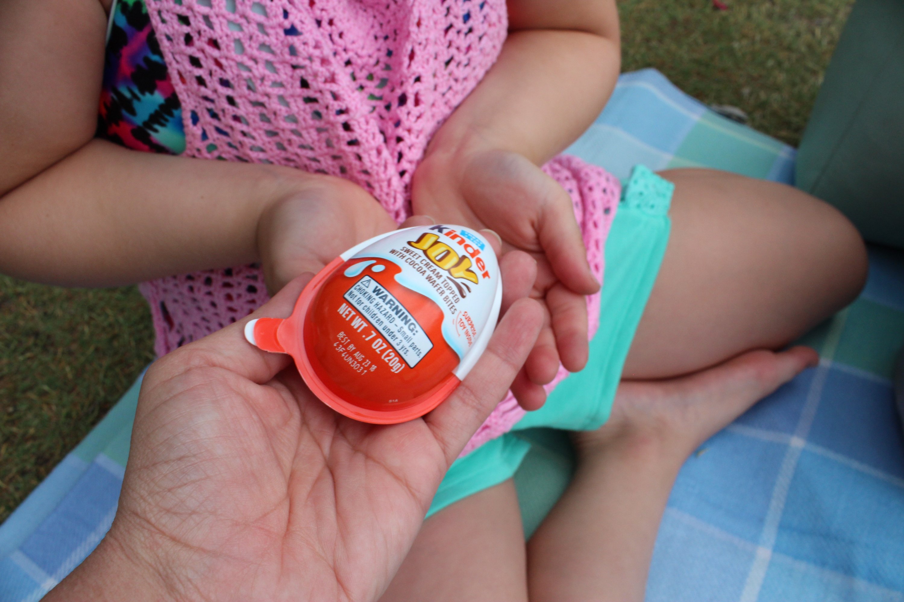 Ideas Fáciles Para un Picnic en el Parque con los Niños