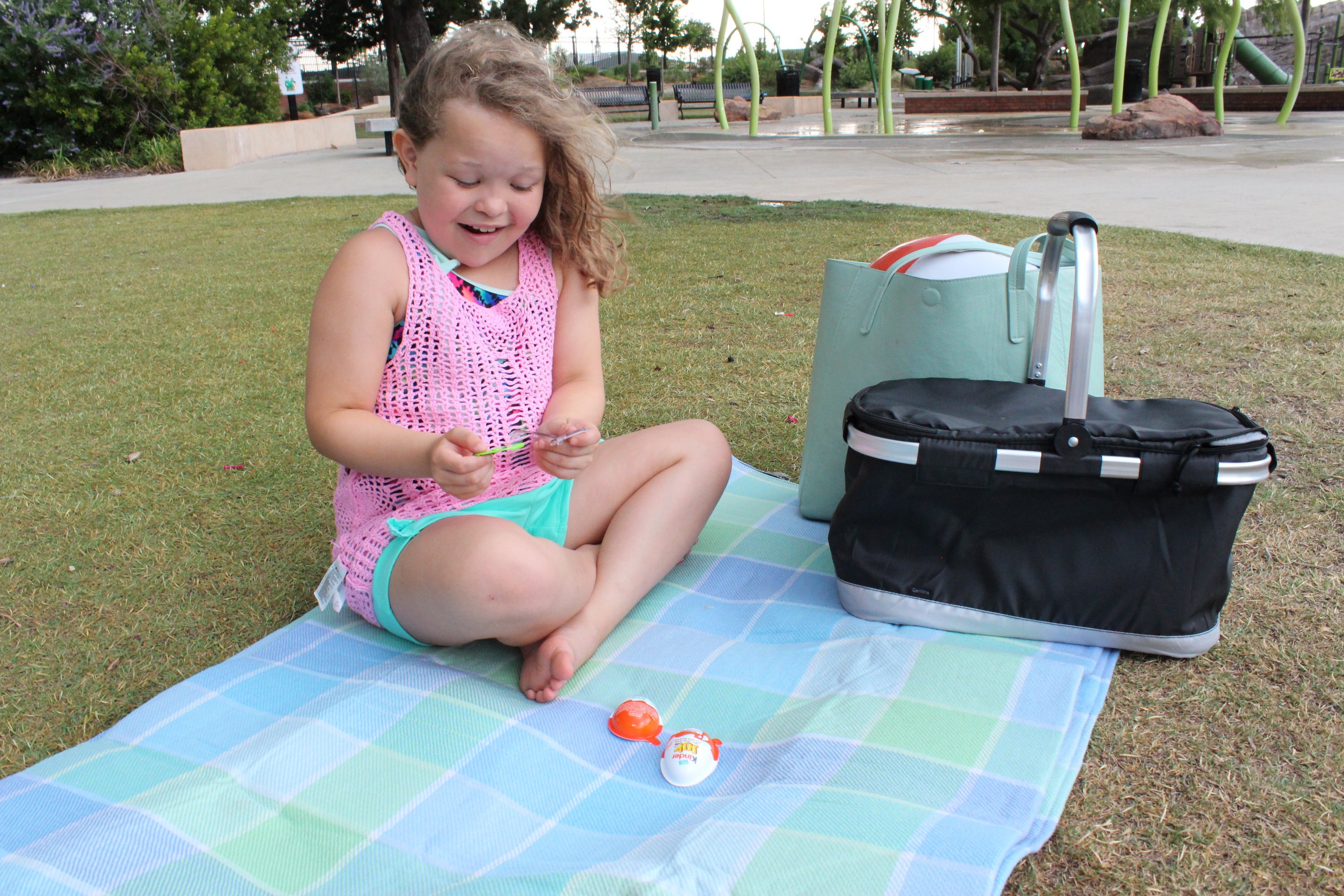 Ideas Fáciles Para un Picnic en el Parque con los Niños