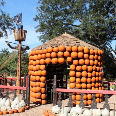 El Otoño en el Dallas Arboretum