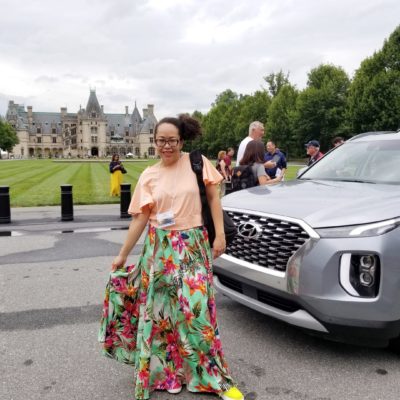 El Nuevo Hyundai Palisade 2020