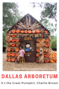 Dallas Arboretum Otoño Charlie Brown Snoopy
