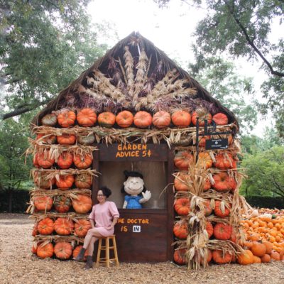 En el Dallas Arboretum: It’s the Great Pumpkin, Charlie Brown
