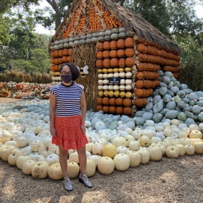 Llega el Otoño al Dallas Arboretum con su Exhibición de Calabazas