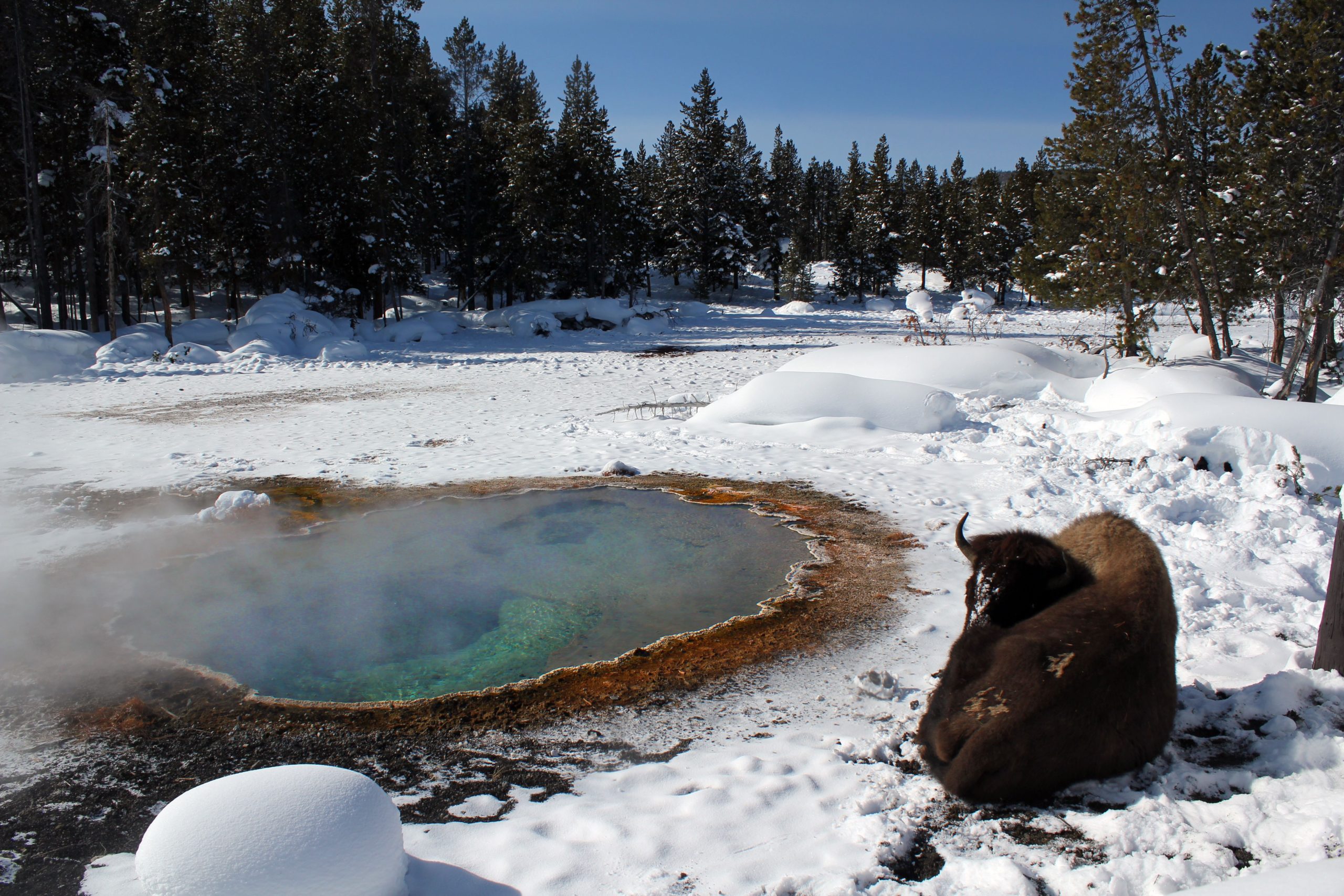 It’s America’s Best Kept Secret: National Parks It’s America’s Best Kept Secret: National Parks