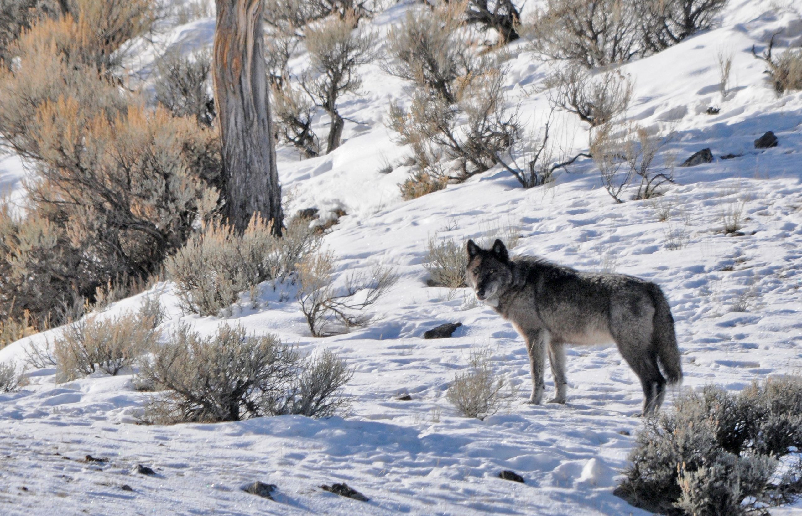 It’s America’s Best Kept Secret: National Parks It’s America’s Best Kept Secret: National Parks