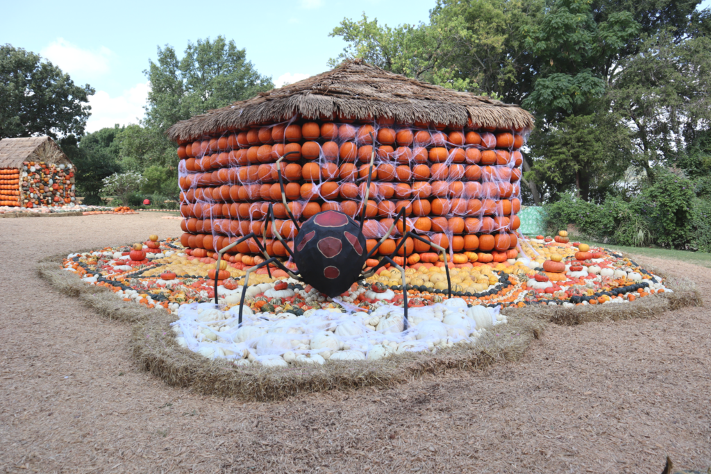 Otoño en el Dallas Arboretum exhibición de calabazas -Bugtopia Otoño en el Dallas Arboretum exhibición de calabazas -Bugtopia