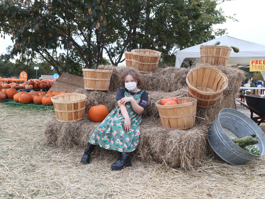 Los Mejores Pumpkin Patches en Dallas-Fort Worth 2021 otoño, pumpkin patch, 2021, calabazas, huertos, familia, fotos, niños, fall, fotografia, los mejores, mas bonitos