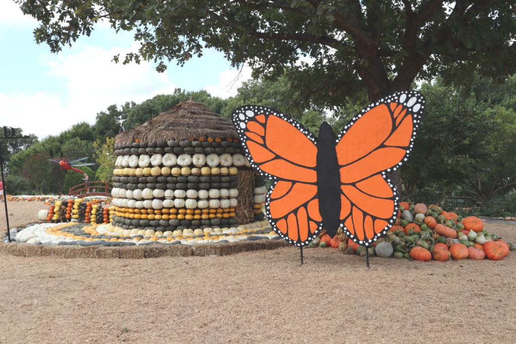 Otoño en el Dallas Arboretum exhibición de calabazas -Bugtopia