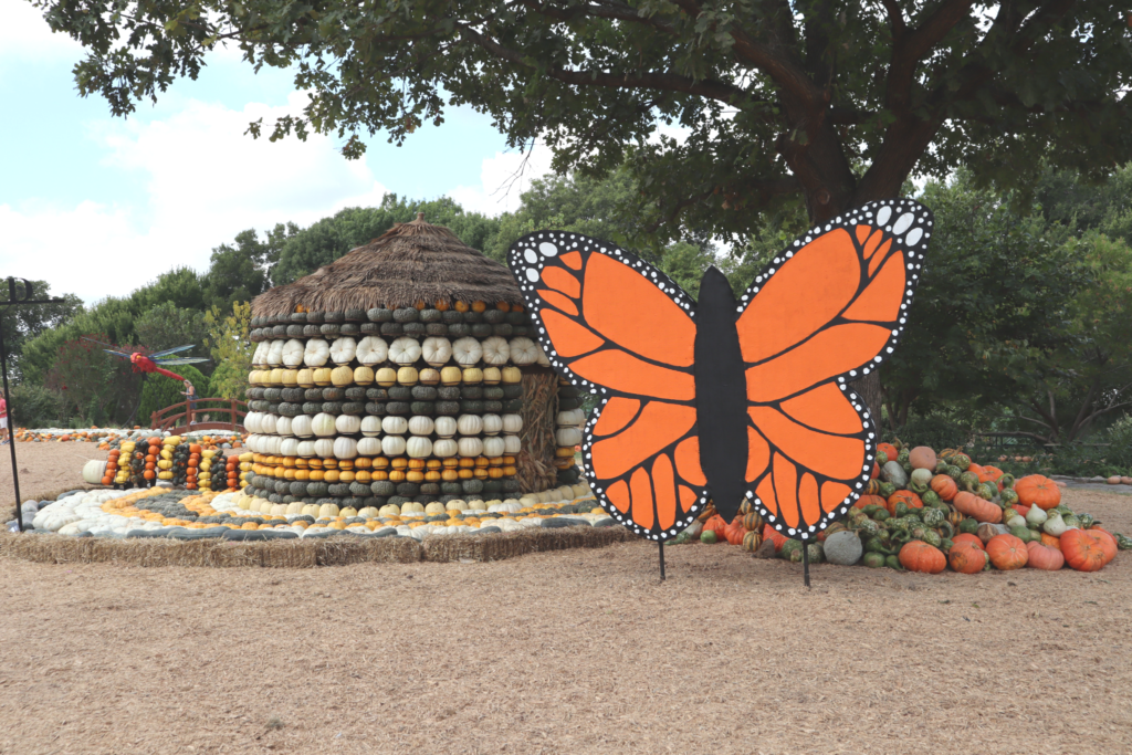 Otoño en el Dallas Arboretum exhibición de calabazas -Bugtopia Otoño en el Dallas Arboretum exhibición de calabazas -Bugtopia
