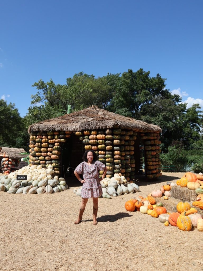 Otoño 2022 con A Fall Fairy Tale en el Dallas Arboretum