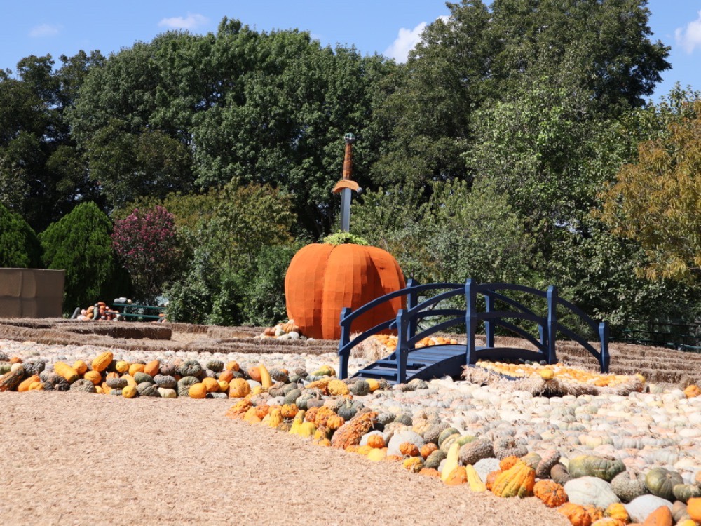 Otoño 2022 con A Fall Fairy Tale en el Dallas Arboretum Otoño 2022 con A Fall Fairy Tale en el Dallas Arboretum