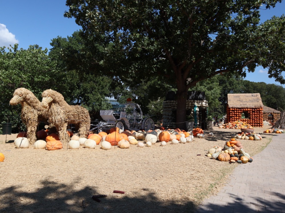 Otoño 2022 con A Fall Fairy Tale en el Dallas Arboretum