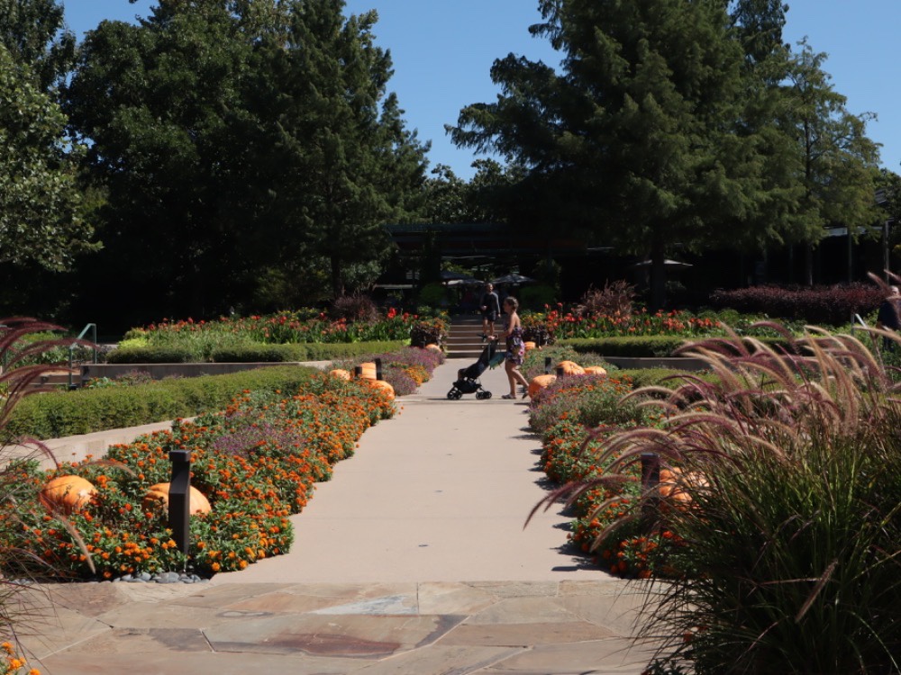 Otoño 2022 con A Fall Fairy Tale en el Dallas Arboretum Otoño 2022 con A Fall Fairy Tale en el Dallas Arboretum