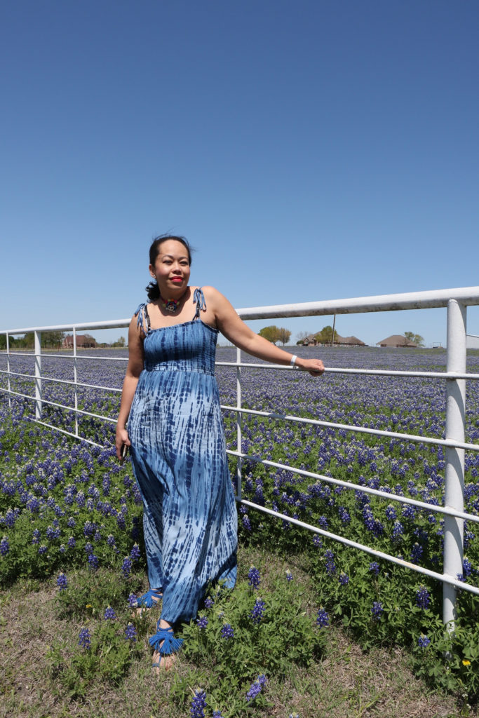 Ennis Texas Bluebonnets festival april