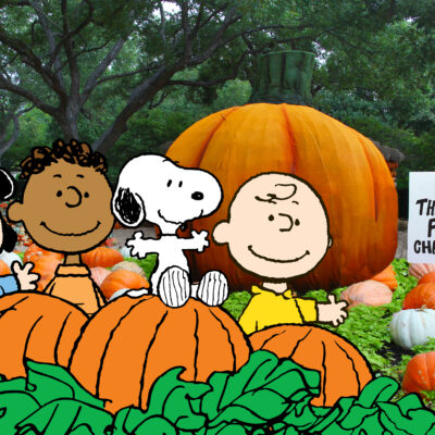 Pumpkin Patch y los mejores sitios para fotos en el Otoño 2023 en DFW Norte de Texas