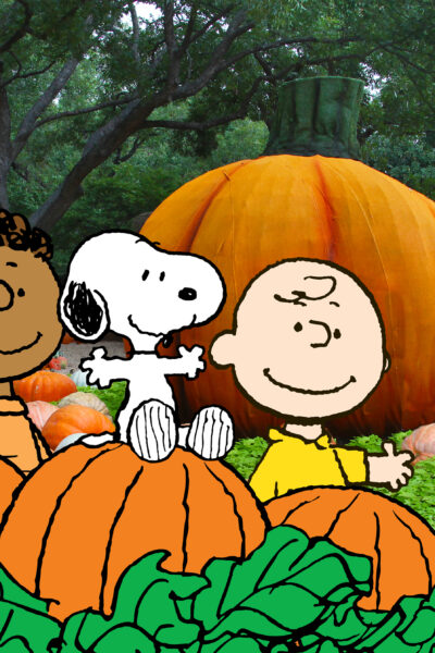 da charlie brown pumpkin patch 2023