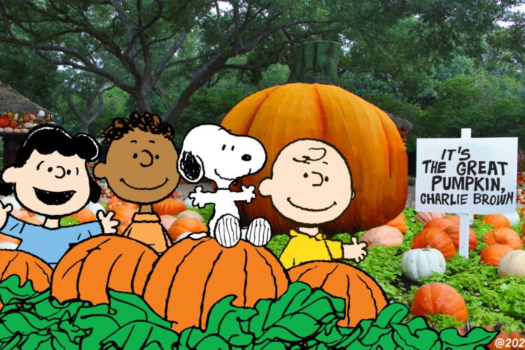 da charlie brown pumpkin patch 2023